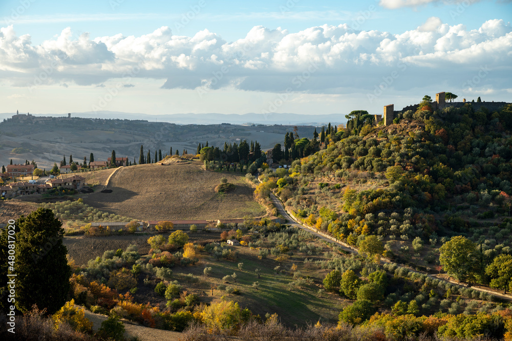Fototapeta premium Panoramic view on hills of Val d'Orcia near Pienza, Tuscany, Italy. Tuscan landscape with cypress trees, vineyards, forests and ploughed fields in autumn.
