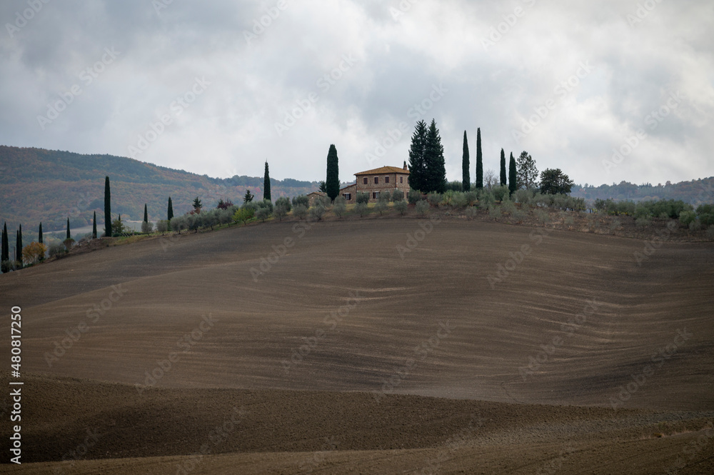 View on hills of Val d'Orcia, Tuscany, Italy. Tuscan landscape with cypress trees and ploughed fields in autumn. View on hills of Val d'Orcia, Tuscany, Italy. Tuscan landscape with cypress trees and ploughed fields in autumn.