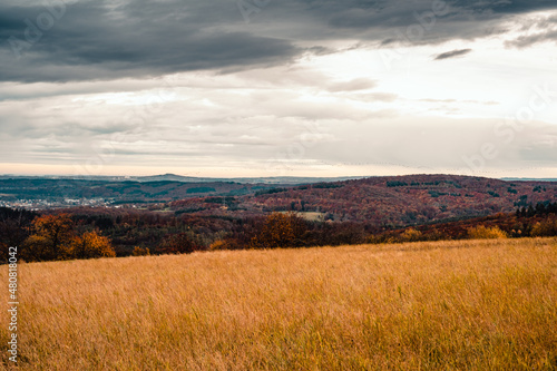 herbstliches feld