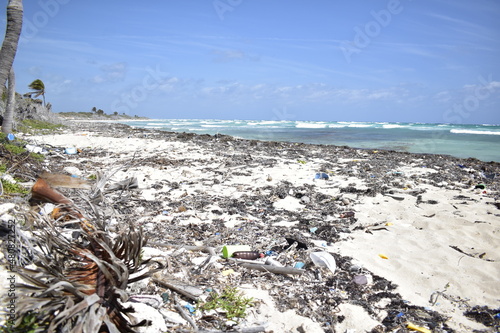 basura y contaminación en la playa y oceanos photo