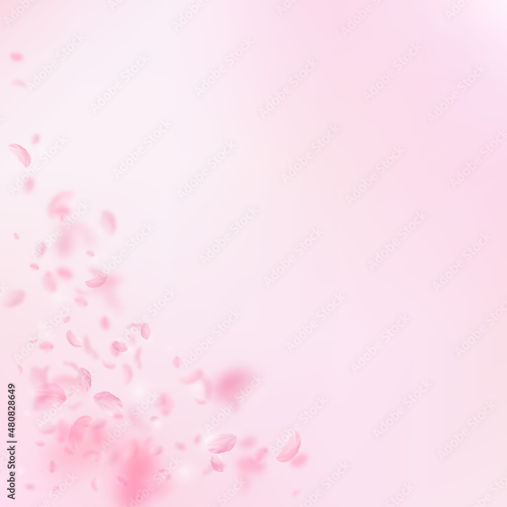 Sakura petals falling down. Romantic pink flowers corner. Flying petals on pink square background. Love, romance concept. Unusual wedding invitation.