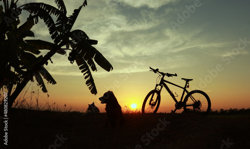 silhouette of a bicycle on sunset