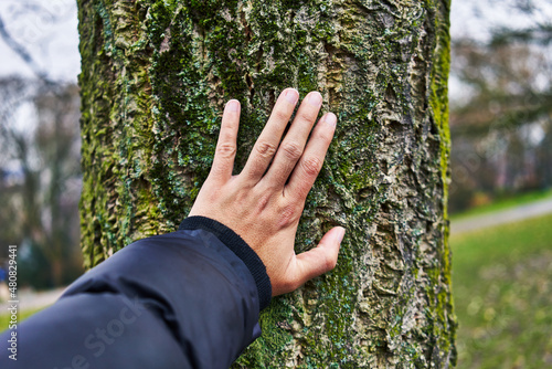  Hand of man touching tree at park