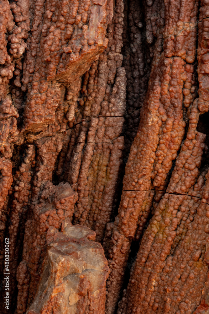 Macro of Bark Like Texture In Petrified Wood Macro of Bark Like Texture In Petrified Wood