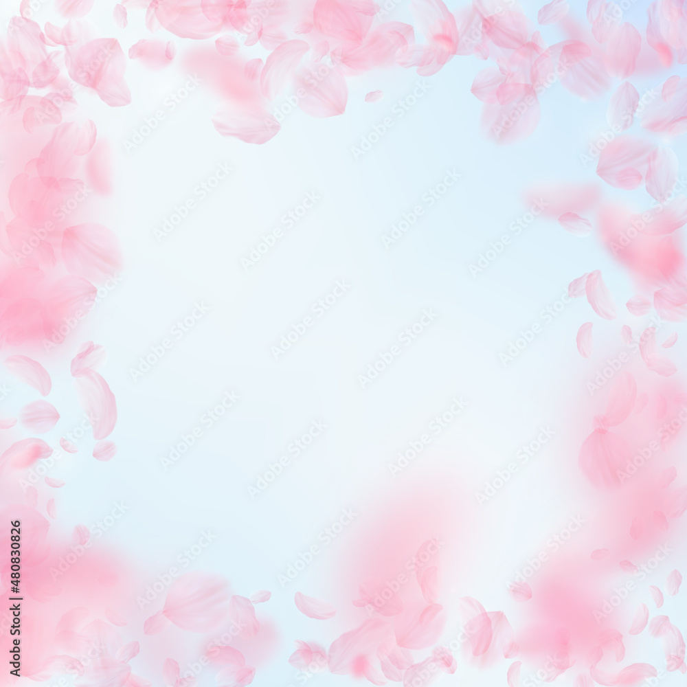 Sakura petals falling down. Romantic pink flowers frame. Flying petals on blue sky square background. Love, romance concept. Neat wedding invitation.