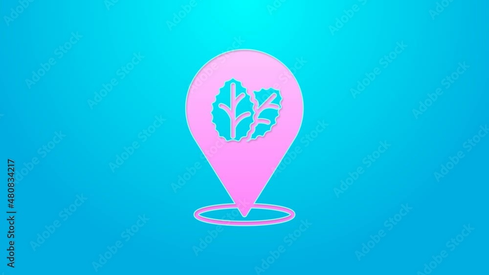 Pink line Tobacco leaf icon isolated on blue background. Tobacco leaves. 4K Video motion graphic animation Pink line Tobacco leaf icon isolated on blue background. Tobacco leaves. 4K Video motion graphic animation