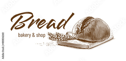 round bread Hand drawing sketch engraving illustration style