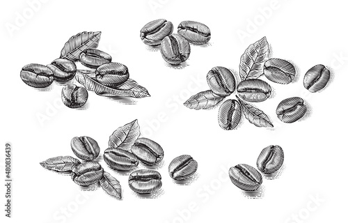 set coffee beans Hand drawing sketch engraving illustration style