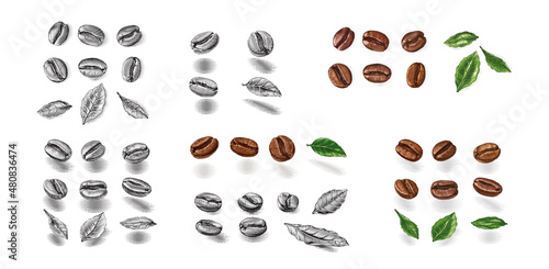 constructor coffee beans Hand drawing sketch engraving illustration style