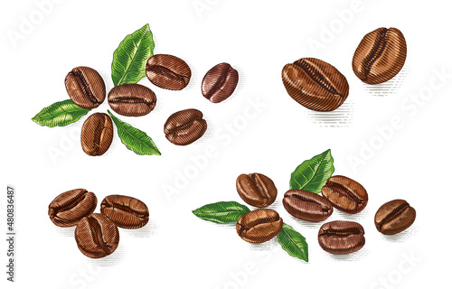colorful set coffee beans Hand drawing sketch engraving illustration style