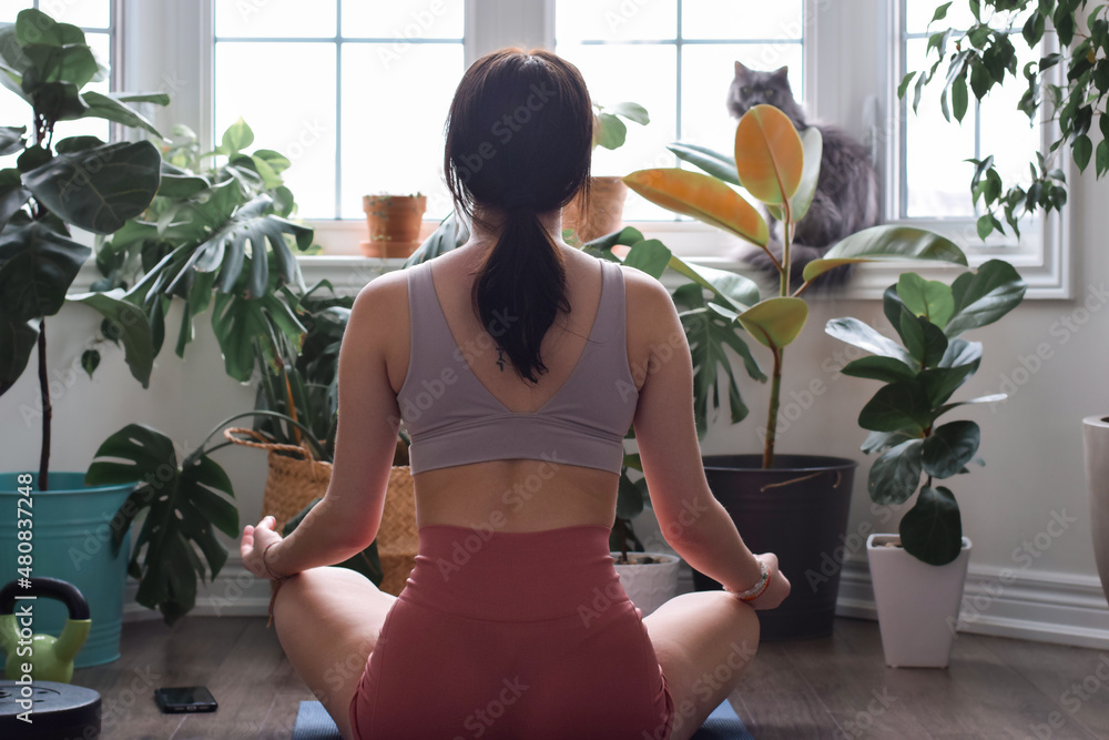 Young girl sitting in lotus yoga pose in front of window with houseplants and cat Young girl sitting in lotus yoga pose in front of window with houseplants and cat