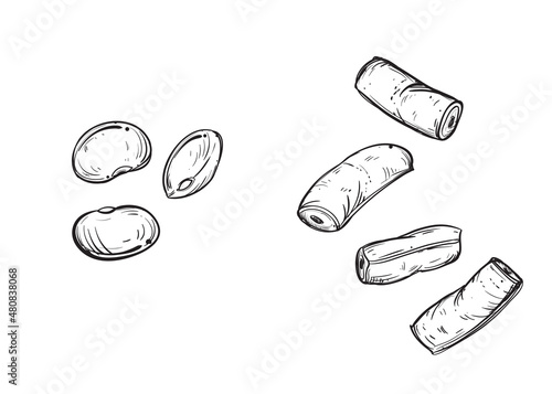 Hand drawn sketch black and white of string bean, leaf, pod. Vector illustration. Elements in graphic style label, card, sticker, menu, package. Engraved style illustration.