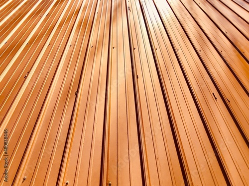 Steel / metal roof (painted rib)