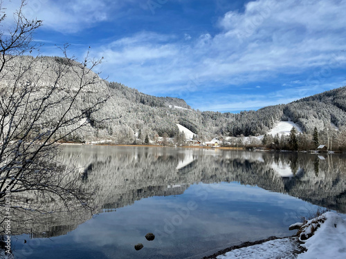 Lunz am See, lunzersee, Baum Apfelbaum Winter Kälte Schnee Berge Felsen Schilf Ufer