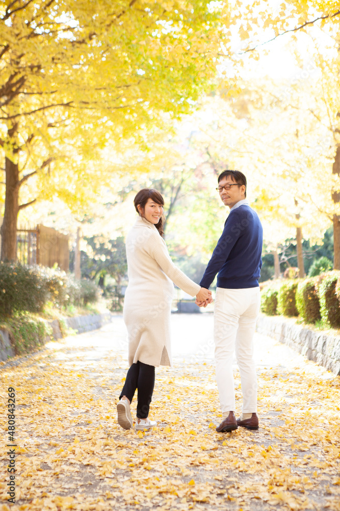 Fototapeta premium 銀杏並木で手を繋ぐ大人夫婦のポートレート