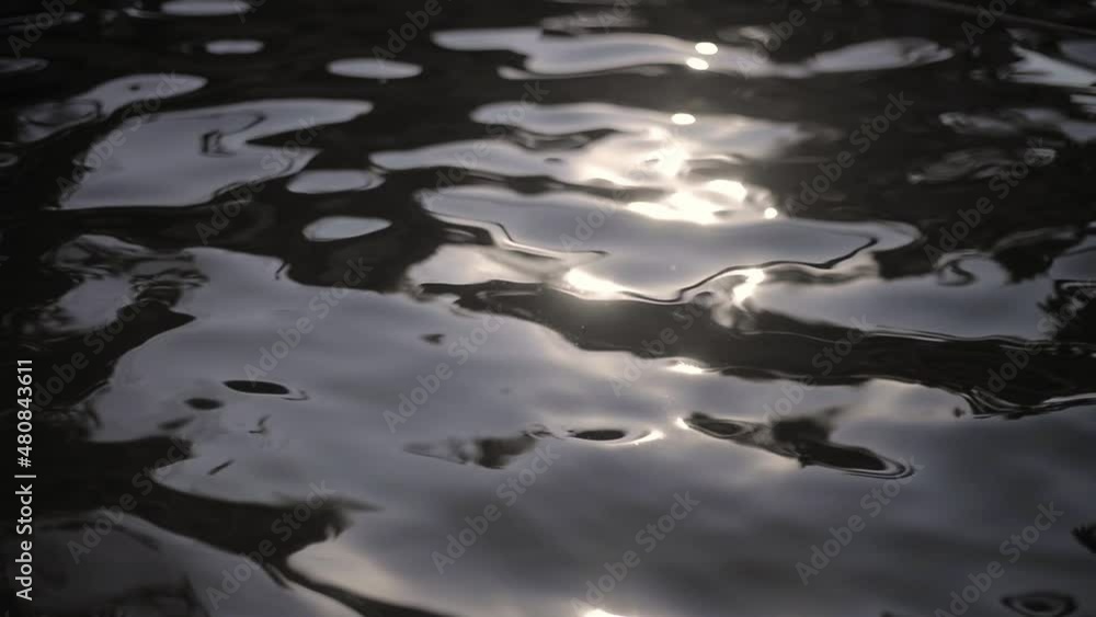 Sunlight reflection over the moving water waves of a lake Sunlight reflection over the moving water waves of a lake