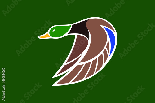 A Flying Mallard (Drake) Shaped as Letter D
