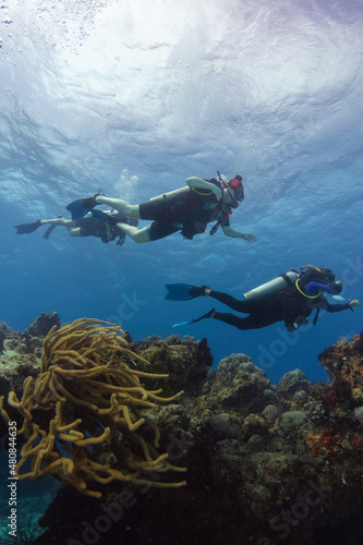divers enjoying the coral reef