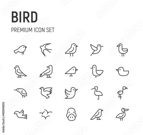 Set of bird line icons. photo