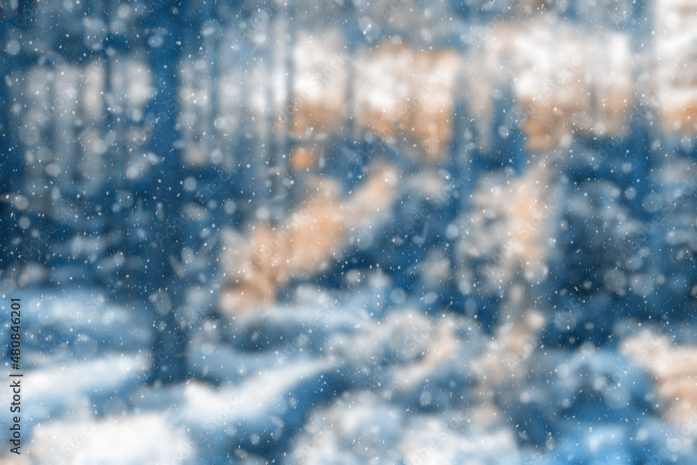 Obraz premium blurred winter forest