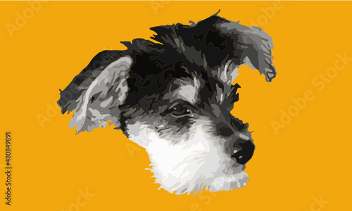 cute black dog head