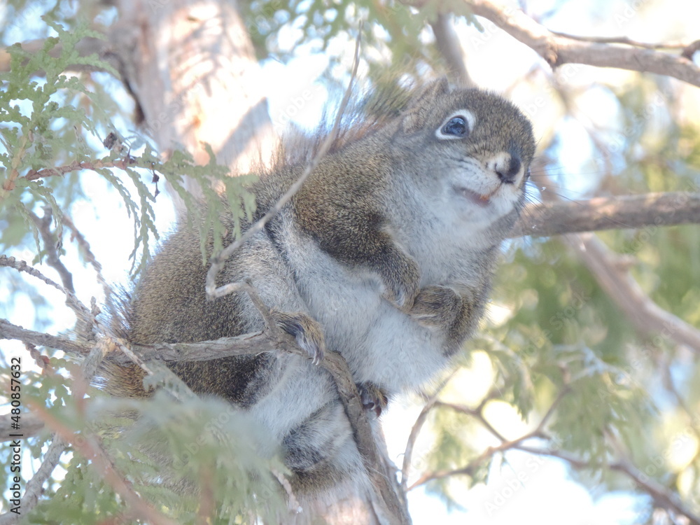 Fototapeta premium hiver 2022