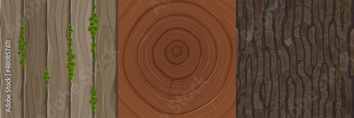Wooden textures of cut tree trunk, bark and boards. Vector cartoon set of patterns with planks surface with green grass leaves, wood stump with rings and rough tree cortex