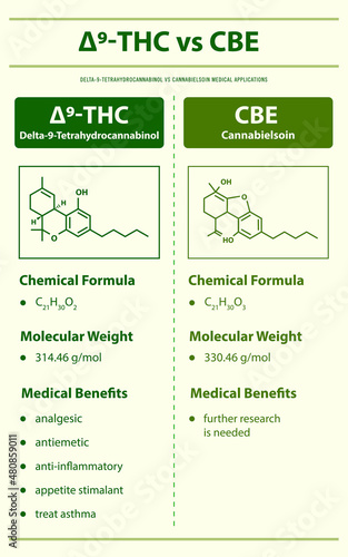 ∆9-THC vs CBE, Delta 9 Tetrahydrocannabinol vs Cannabielsoin vertical infographic