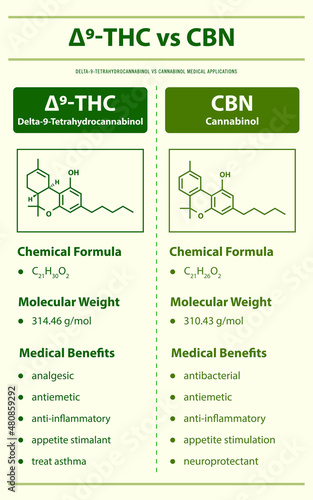 ∆9-THC vs CBN, Delta 9 Tetrahydrocannabinol vs Cannabinol vertical infographic