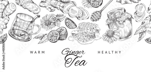 Ginger tea hand drawn vintage style background, engraving vector illustration.