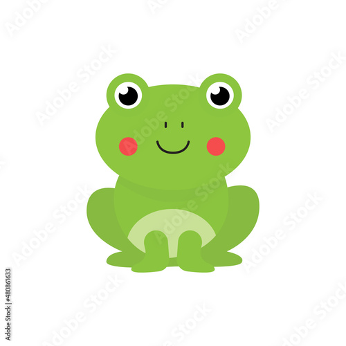Vector illustration of cute frog isolated on white background.
