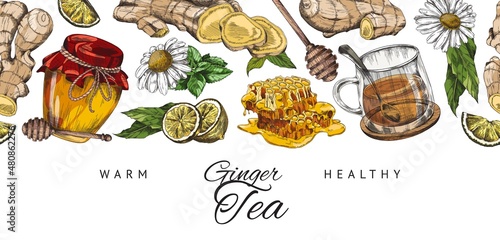Ginger tea seamless banner with honey, mint leaves and chamomile flowers, sketch vector illustration on white.