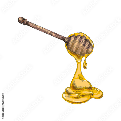 Wooden honey dipper in hand drawn sketch style, vector illustration isolated on white background.
