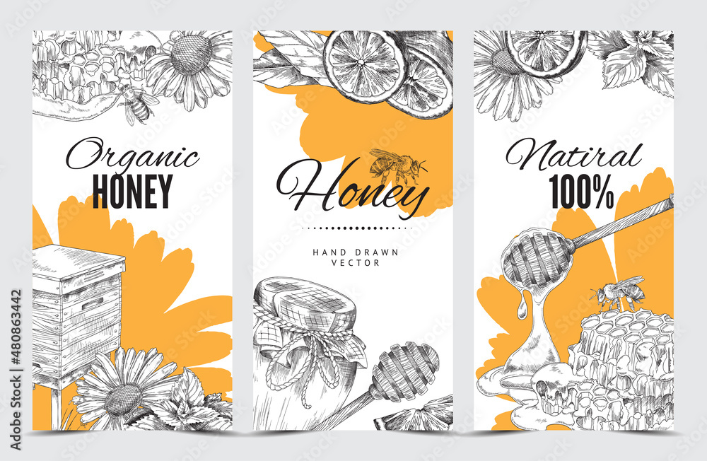 Bee honey banners or vertical flyers templates sketch vector illustration.