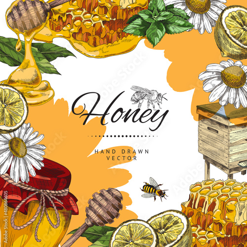 Hand drawn honey frame banner with copy space for text, colored sketch vector illustration.