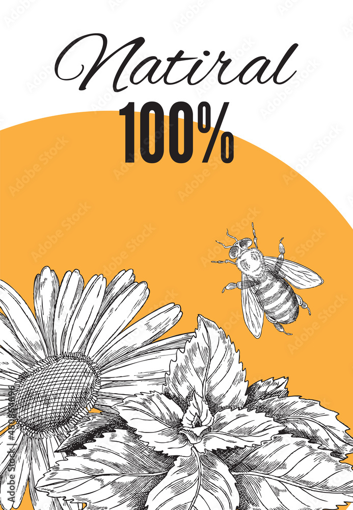 Natural honey banner or poster layout hand drawn sketch vector illustration.