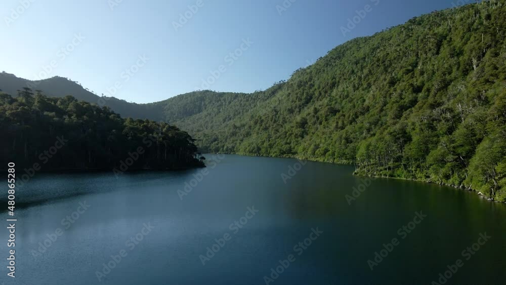 Panoramic view of Lago Verde in huerquehue national park on a sunny day - drone shot