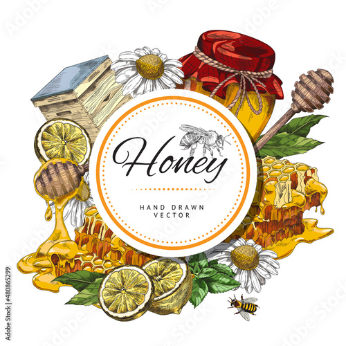 Honey hand drawn banner or poster design, sketch style vector illustration.