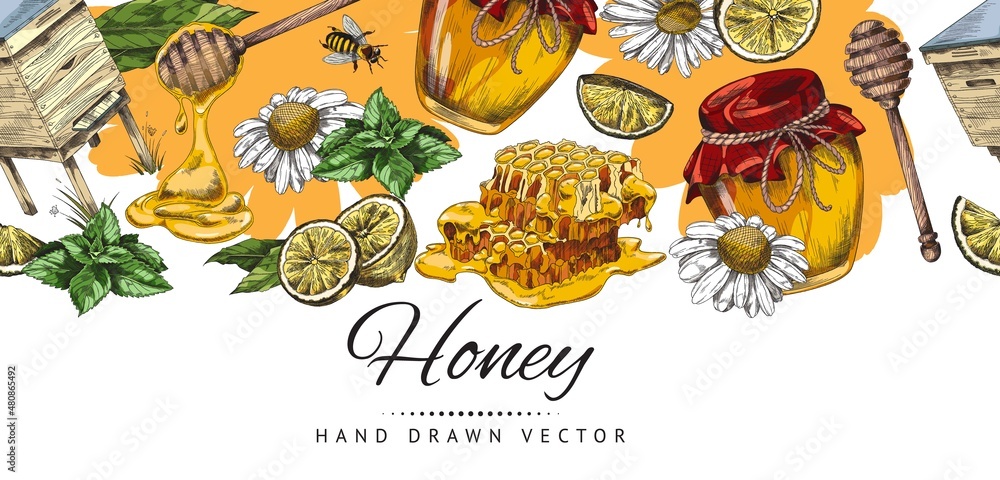 Honey hand drawn background or banner layout sketch vector illustration.