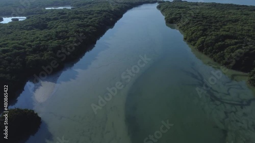 Landscape of Tarout Island with coastal vegetation and sea water. Aerial forward photo