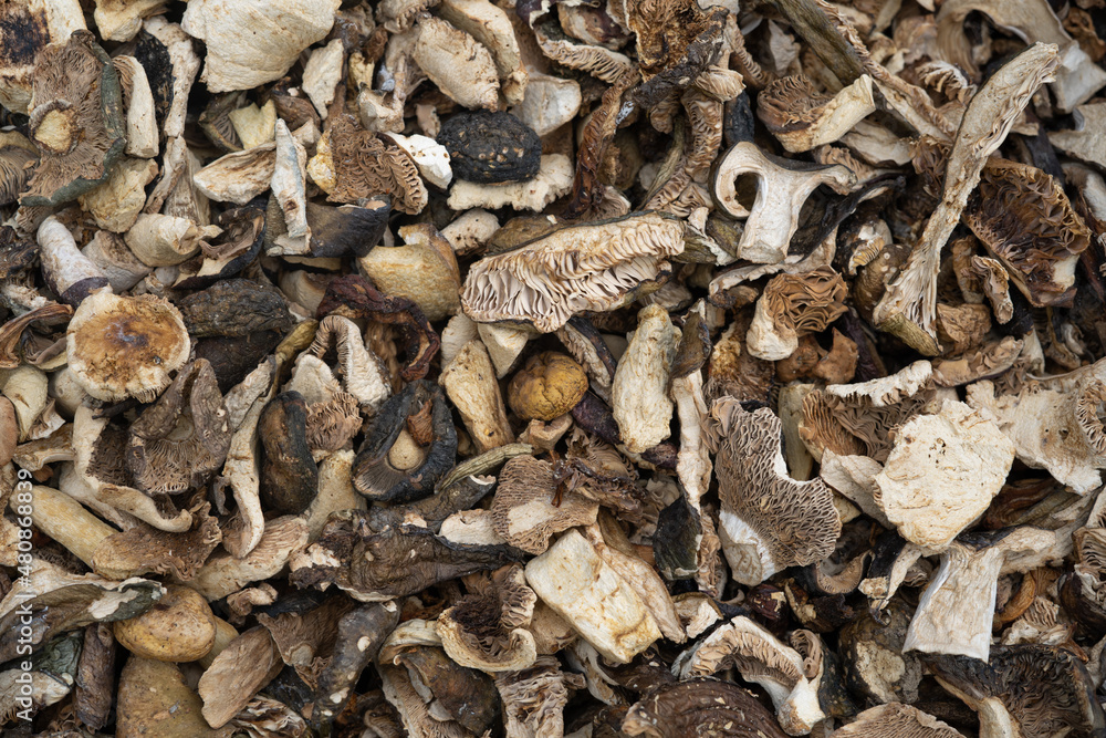 Close-up of a pile of dried forest mushrooms for cooking. Close-up of a pile of dried forest mushrooms for cooking.