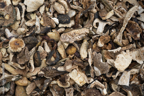 Close-up of a pile of dried forest mushrooms for cooking.
