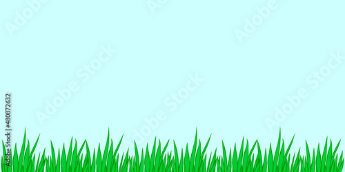 Vector outline green grass isolated on blue sky background. Herbal Border, horizontal bottom edging, lawn panoramic landscape. Template, design element for postcard, illustration