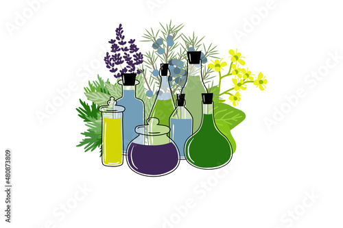 magic in old fashion apothecary jars, vector