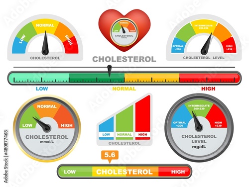 Cholesterol meter, color scale with arrow, vector isolated illustration. Low, normal and high level measuring device.