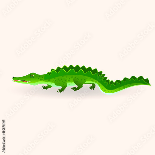 Crocodile, Alligator, stylized wild animal. Vector illustration isolated on white background.