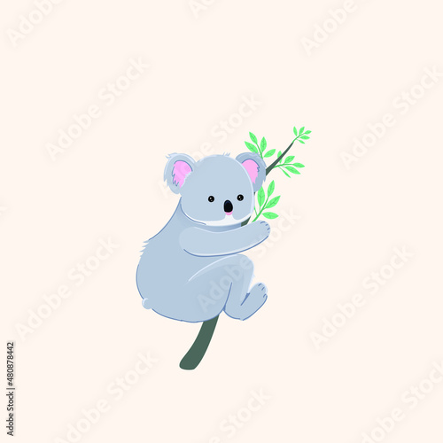 Canvas Print A baby koala on a eucalyptus branch