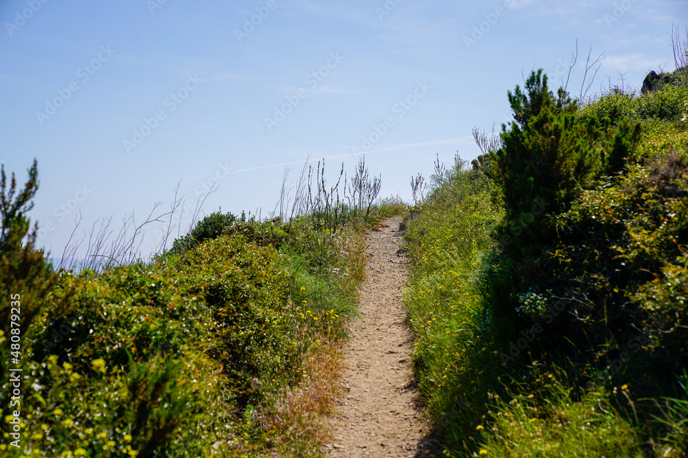 hill pathway in natural coast of collioure port vendres in south french coast