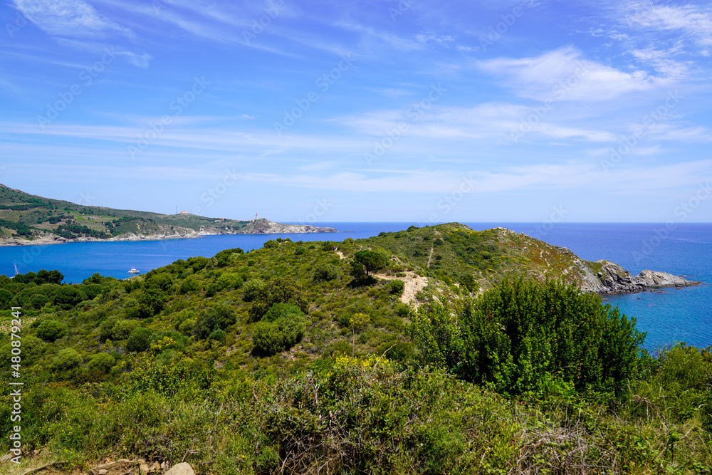bay mediterranean site of Anse de Paulilles at Port-Vendres in french Occitanie southeast france
