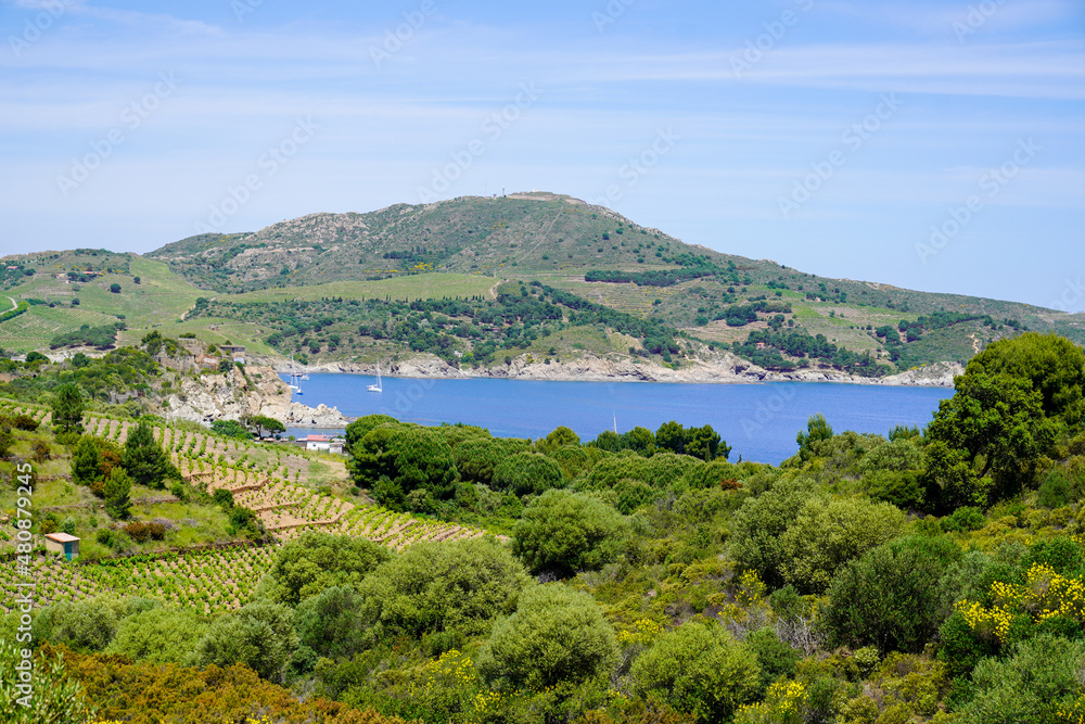 mediterranean french south coast in port vendres France